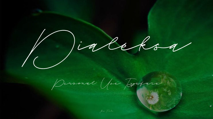 Dialeksa Personal Use Font