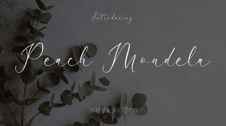 Peach Mondela Font