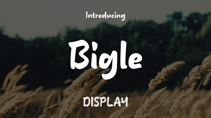 Bigle Font