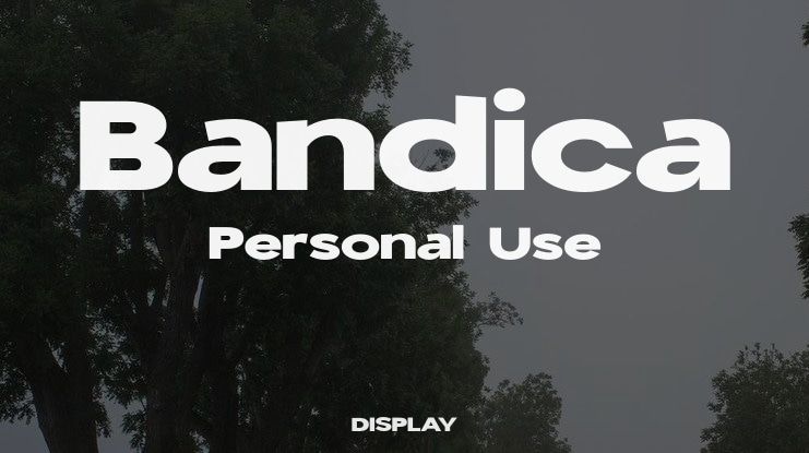 Bandica Personal Use Font