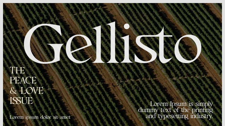 Gellisto Font