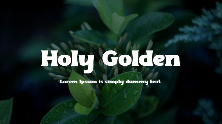 Holy Golden Font Family
