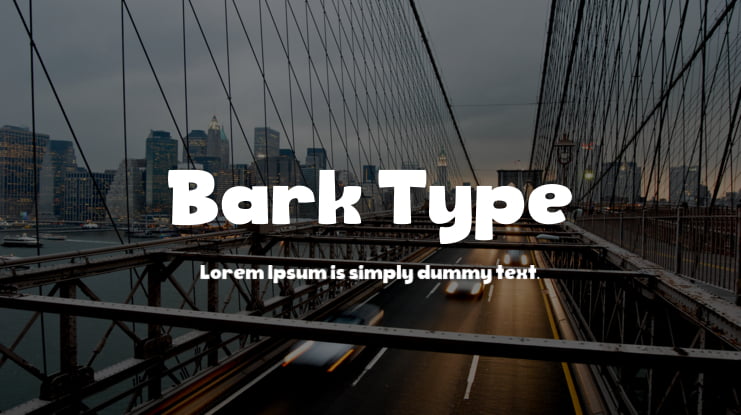Bark Type Font Family