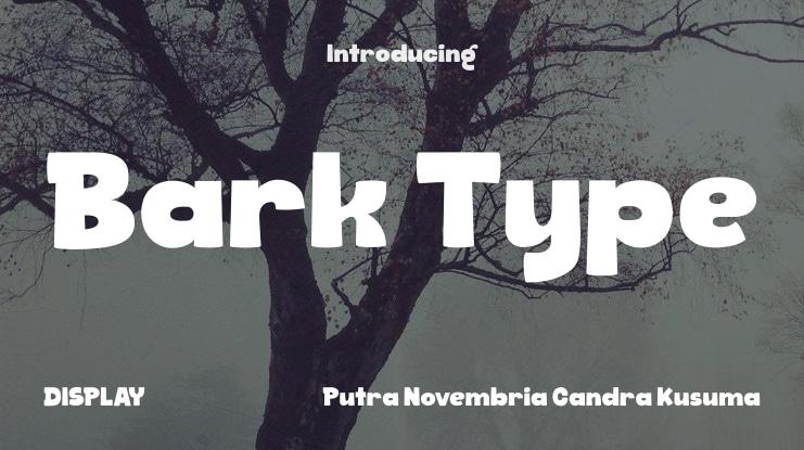 Bark Type Font Family