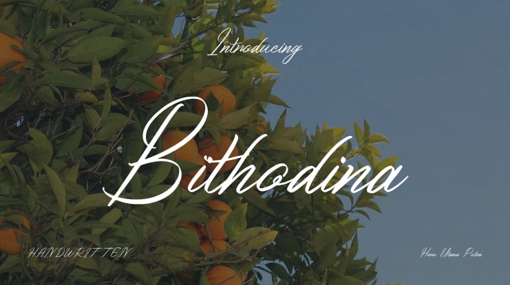 Bithodina Font