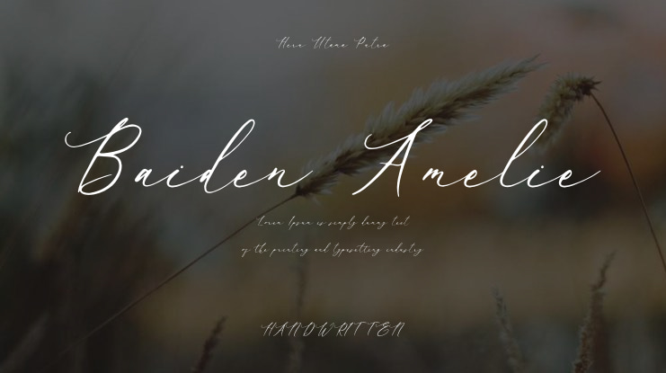 Baiden Amelie Font
