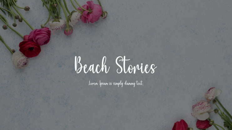 Beach Stories Font