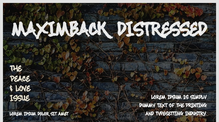 Maximback Distressed Font Family