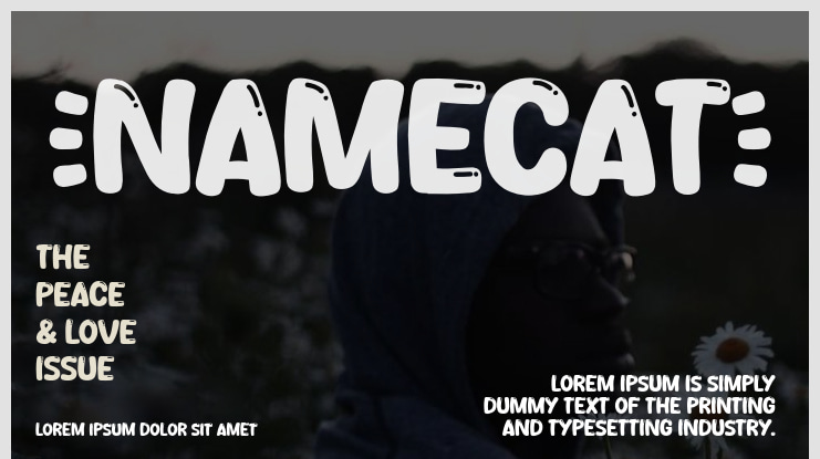 Namecat Font