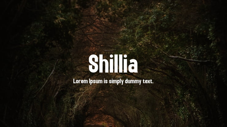 Shillia Font