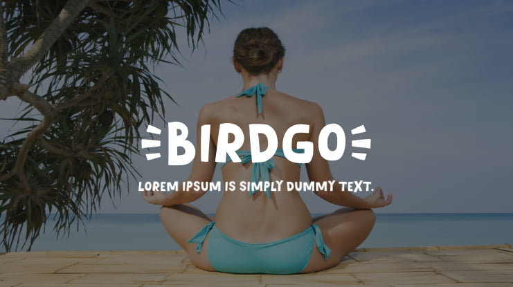 Birdgo Font