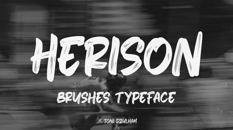Herison Brushes Font