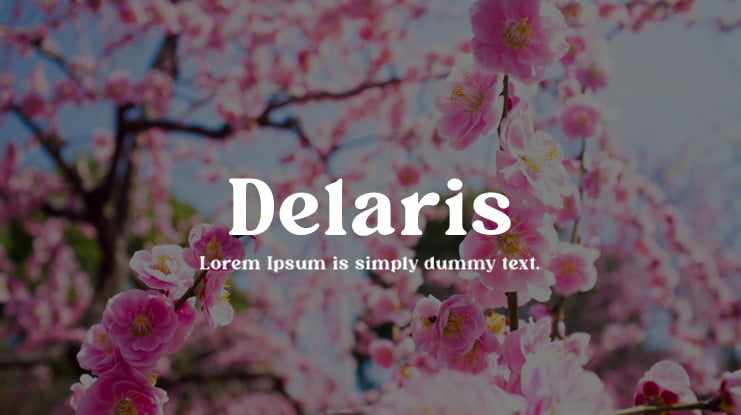 Delaris Font