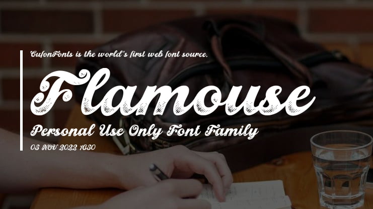 Flamouse Personal Use Only Font