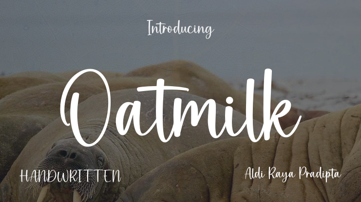 Oatmilk Font