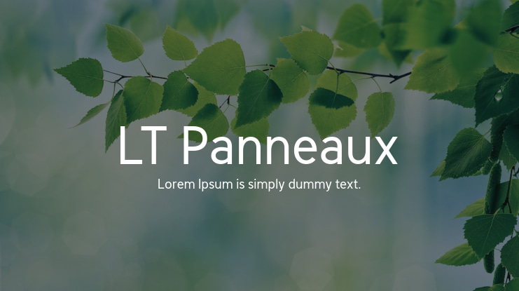 LT Panneaux Font Family