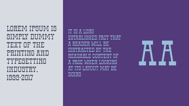 Western Capital Font Family