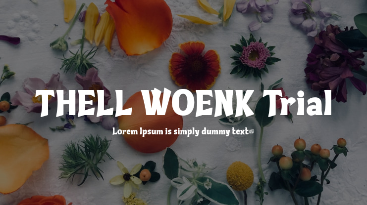 THELL WOENK Trial Font