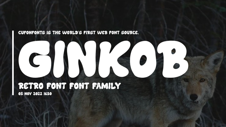 Ginkob Retro Font