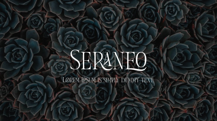 Seraneo Font