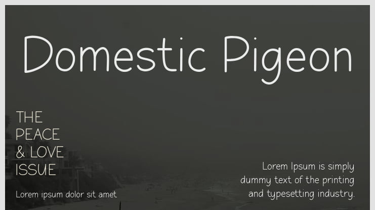 Domestic Pigeon Font