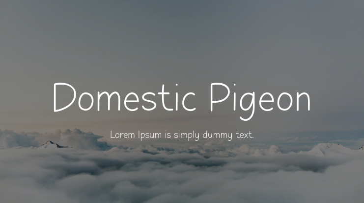 Domestic Pigeon Font