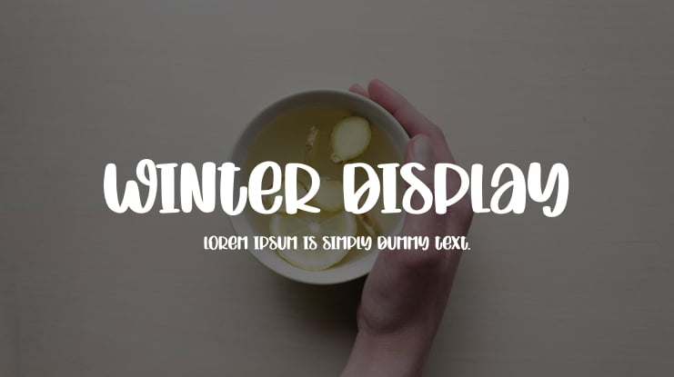 Winter Display Font