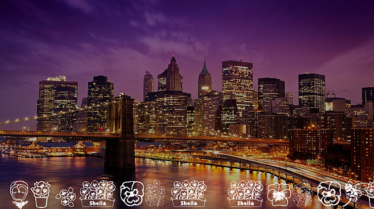 Pansies 4 Sheila Font