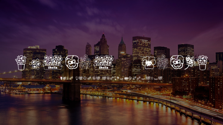 Pansies 4 Sheila Font