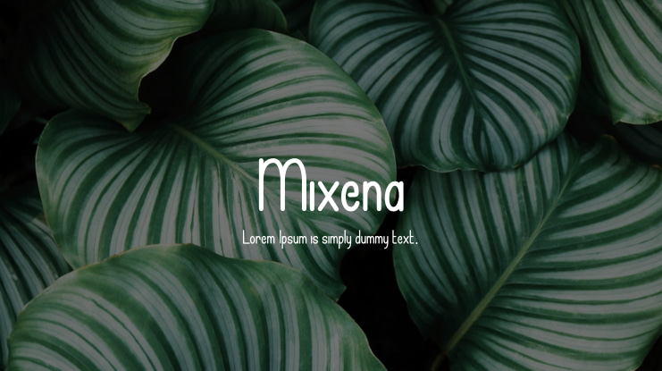 Mixena Font