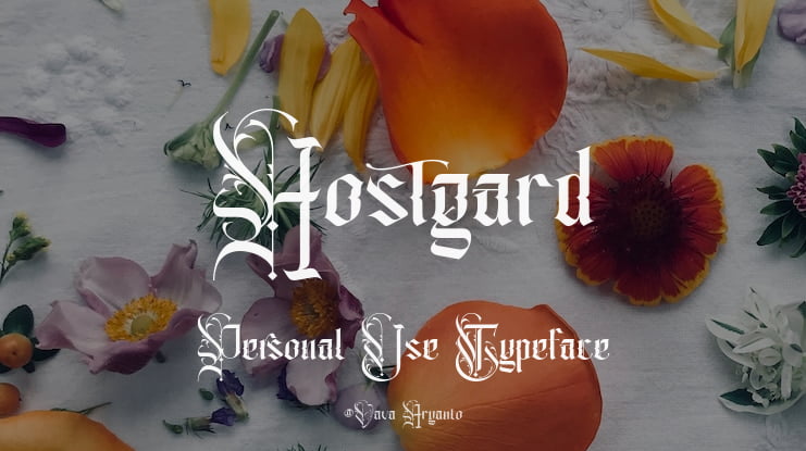Hostgard Personal Use Font