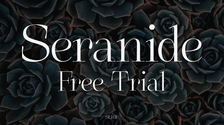 Seranide Free Trial Font