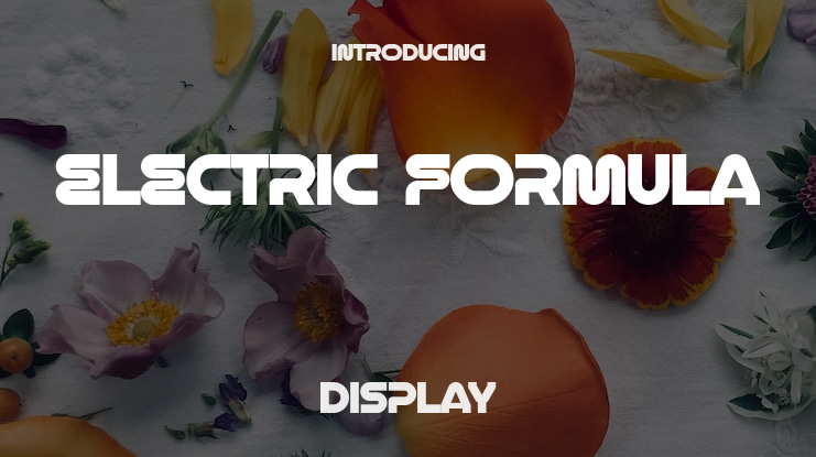 Electric Formula Font Family