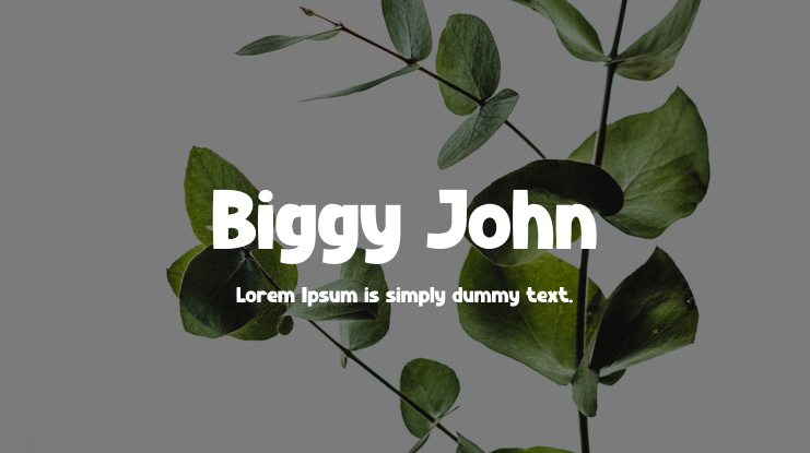 Biggy John Font