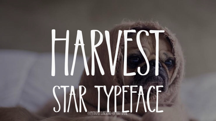 Harvest Star Font