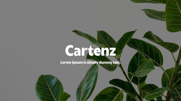 Cartenz Font Family