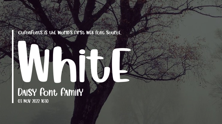 White Daisy Font
