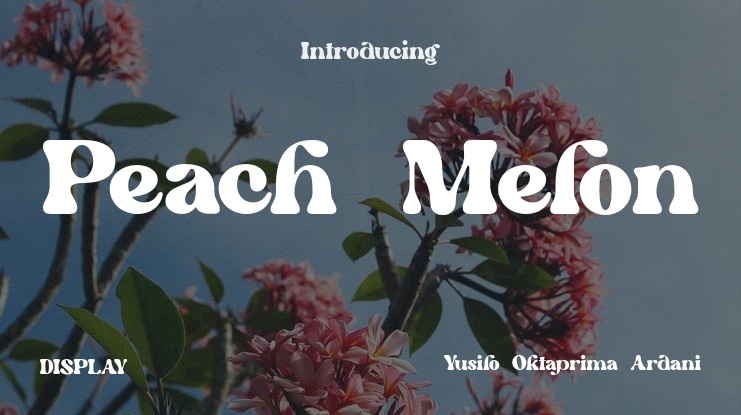 Peach Melon Font
