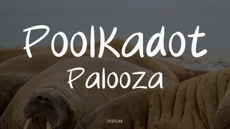 Poolkadot Palooza Font