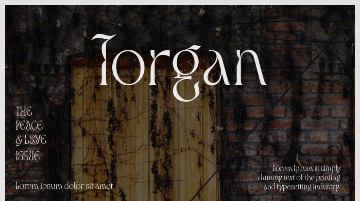 Torgan Font