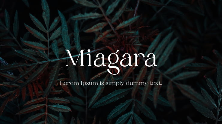 Miagara Font