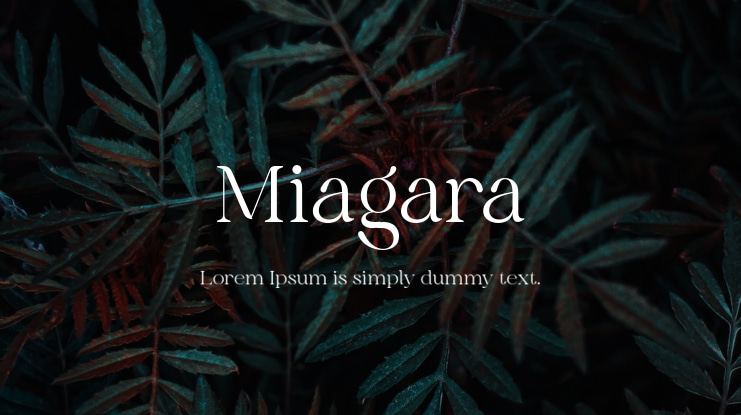 Miagara Font