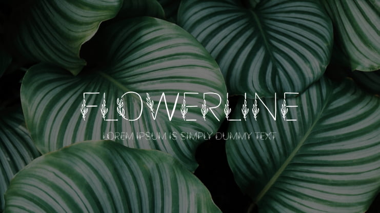 Flowerline Font