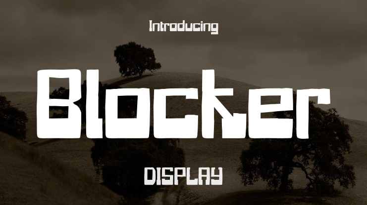 Blocker Font