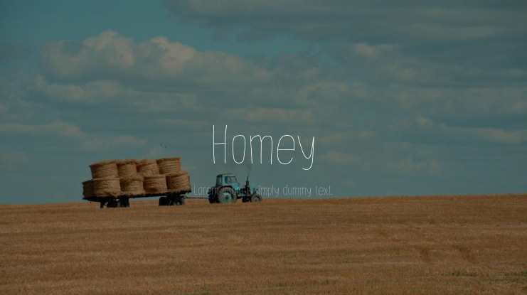 Homey Font