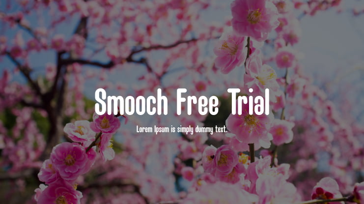 Smooch Free Trial Font