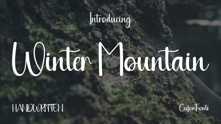 Winter Mountain Font