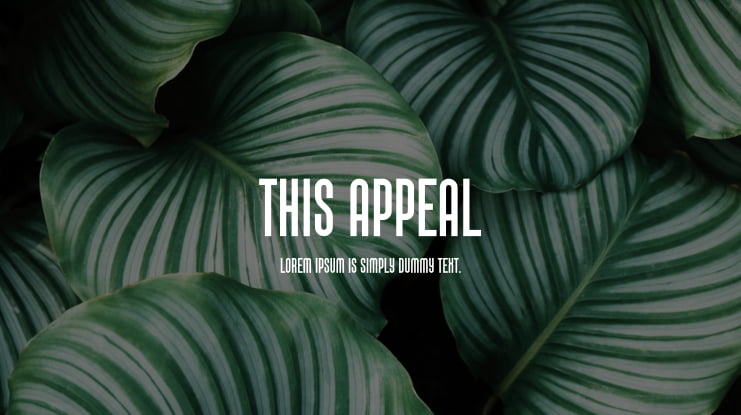 This Appeal Font