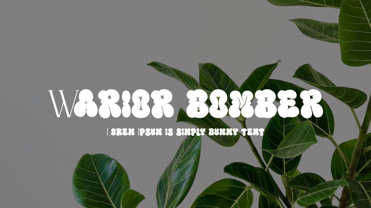 Warior bomber Font