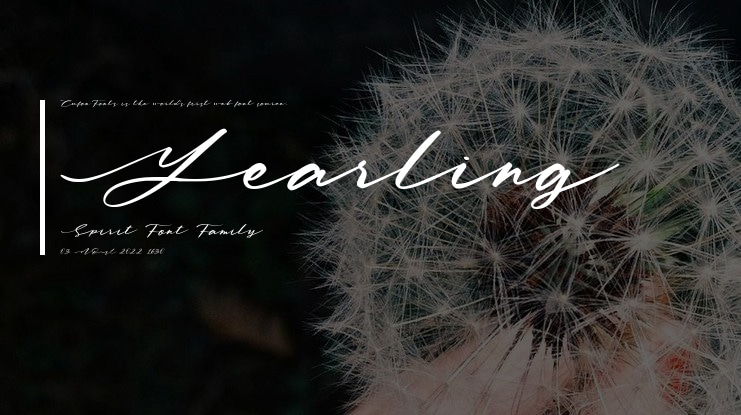 Yearling Spirit Font